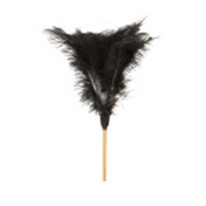 Feather Duster